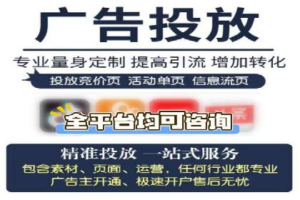 竞价推广中的着陆页策略：成功案例解读